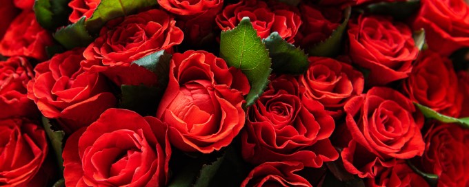 Blumen 03
